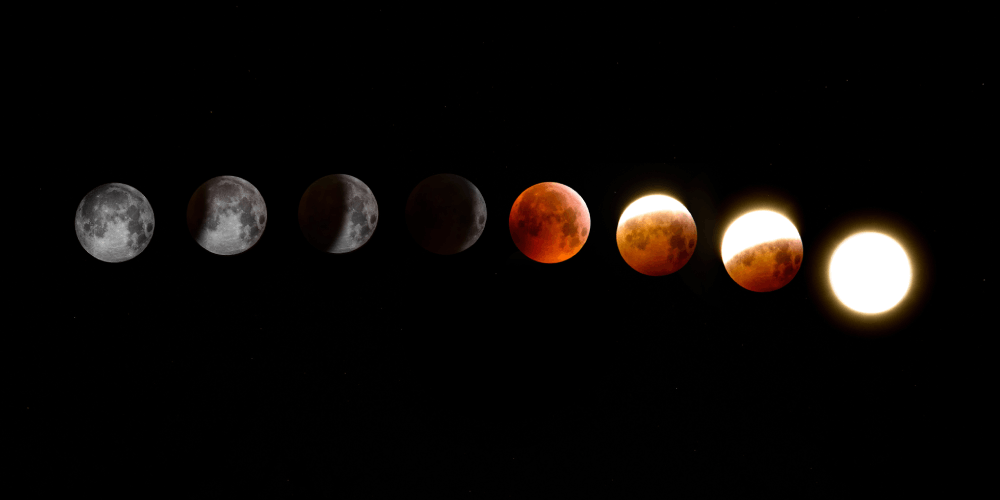 the moon phases