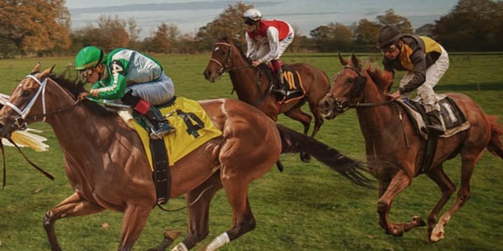 Virtual Horse Racing Betting Guide