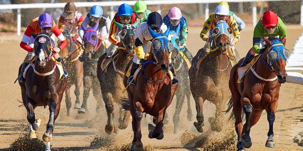 Horse Betting Terms – Understand The Jargon At The Racetrack