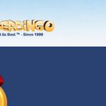 CyberBingo Tournaments Online: Play and Get Extra Big Shares!