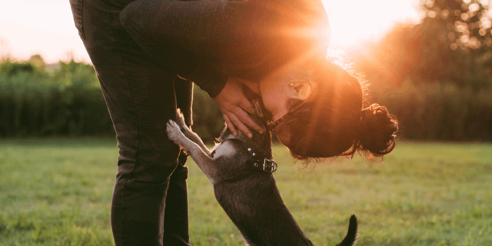 how to live life happily