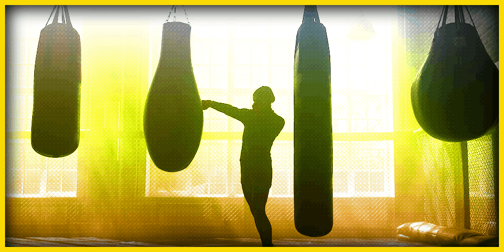 How to bet on celebrity boxing