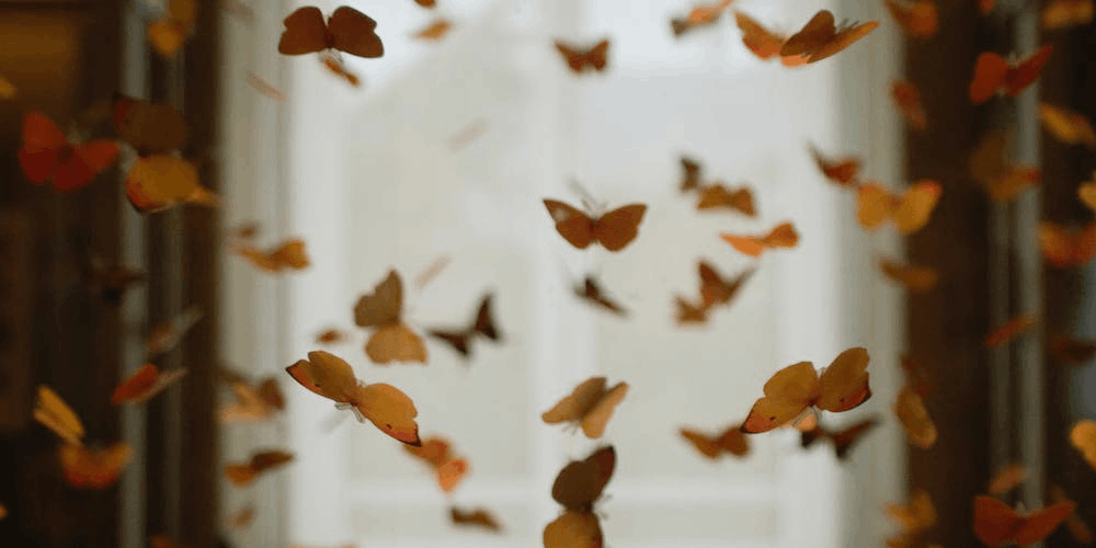 meaningful coincidence