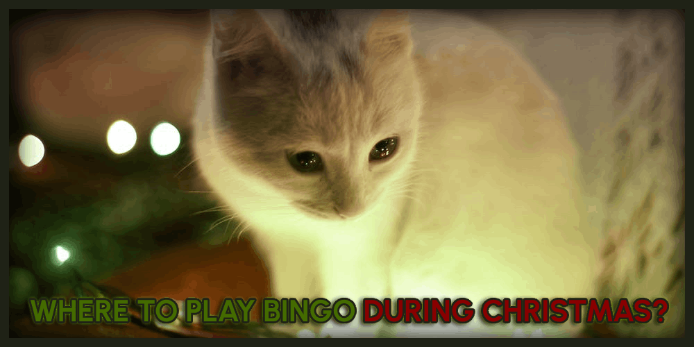 Where To Play Bingo During Christmas? – Festive Gambling Guide