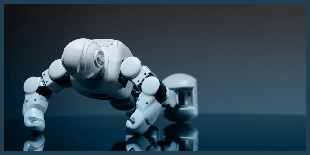 robot fighting