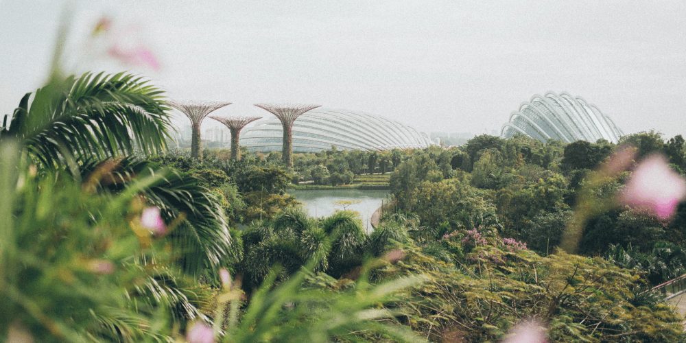 Gambling in Singapore