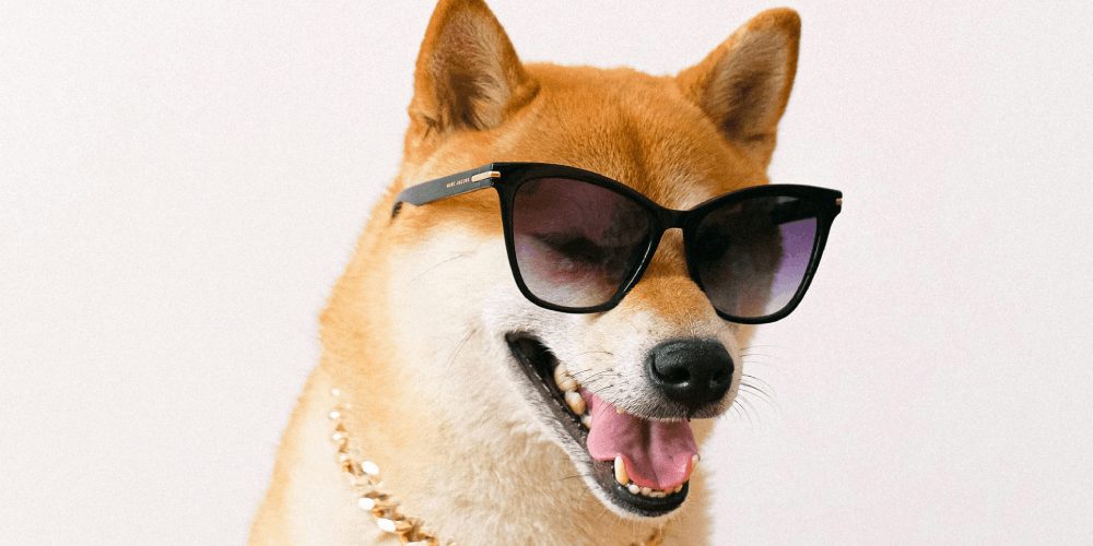 how to buy dogecoin in 2024