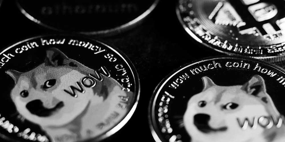 gambling with dogecoin online