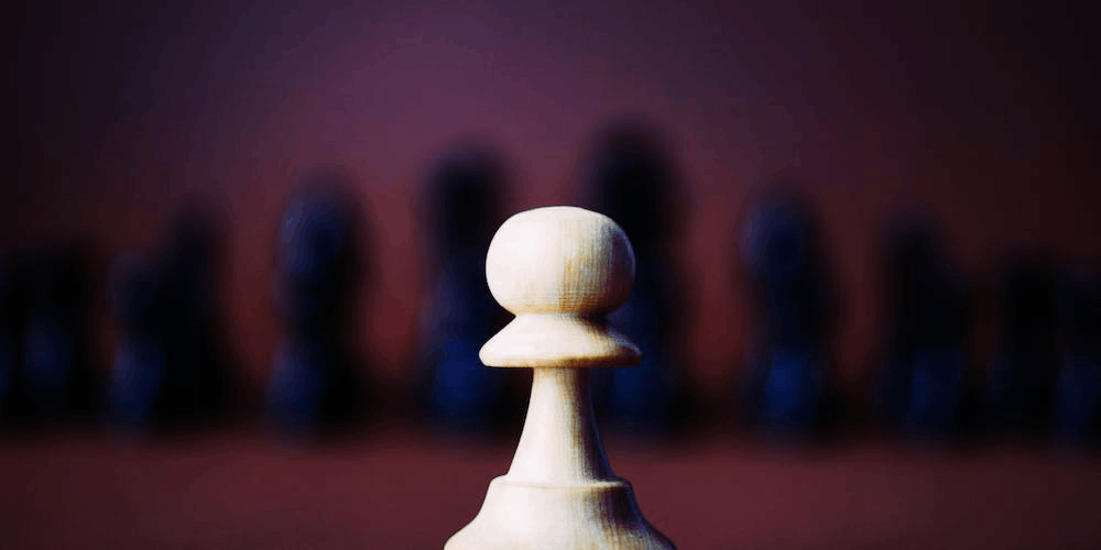 female chess chamoionship betting odds