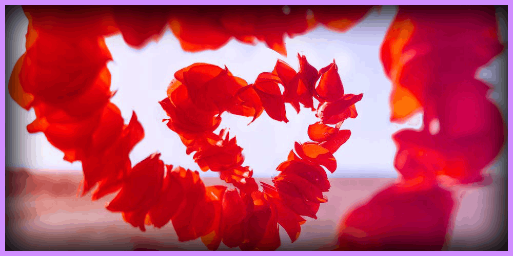 Taylor Swift and Travis Kelce valentines