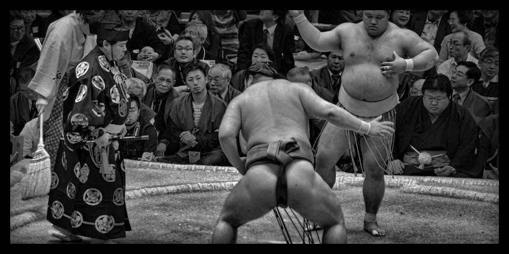 Sumo bets in 2024