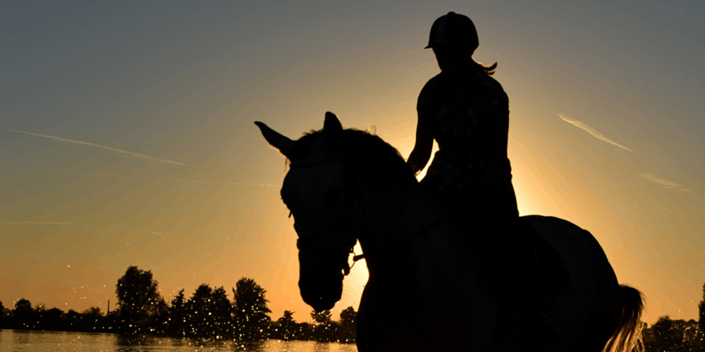 romantic horse events for valentine 2024