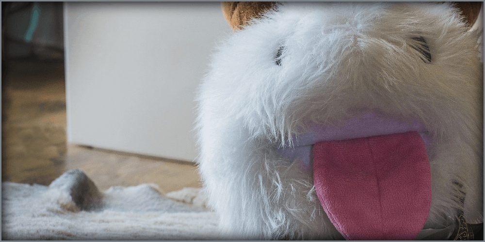 league online betting