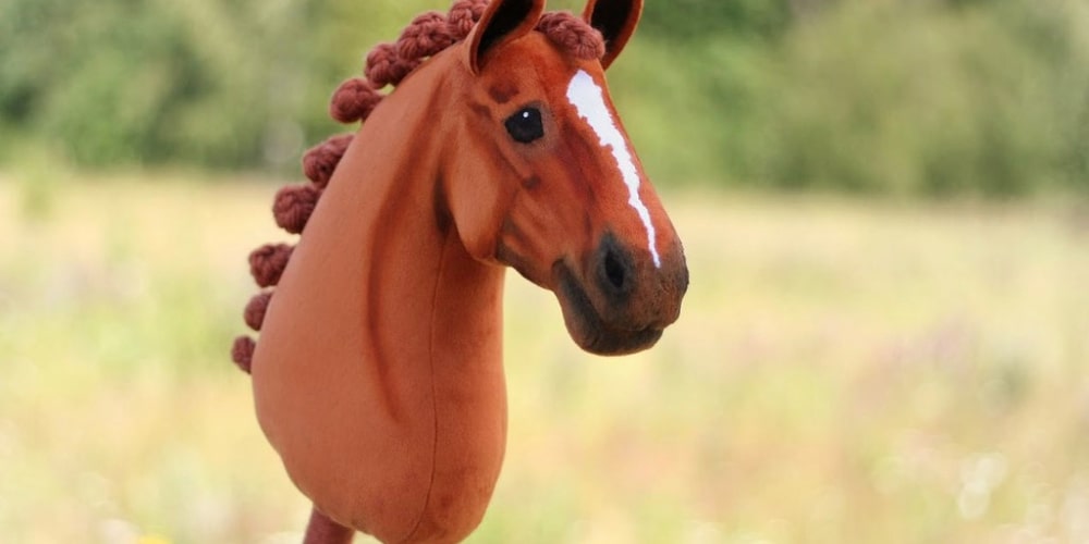 hobby horsing