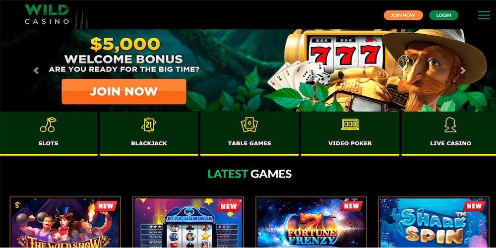 Wild Fortune Casino Mobile App Interface