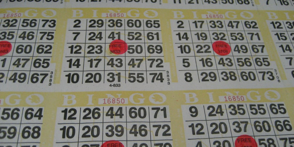 7 reasons why bingo is awesome