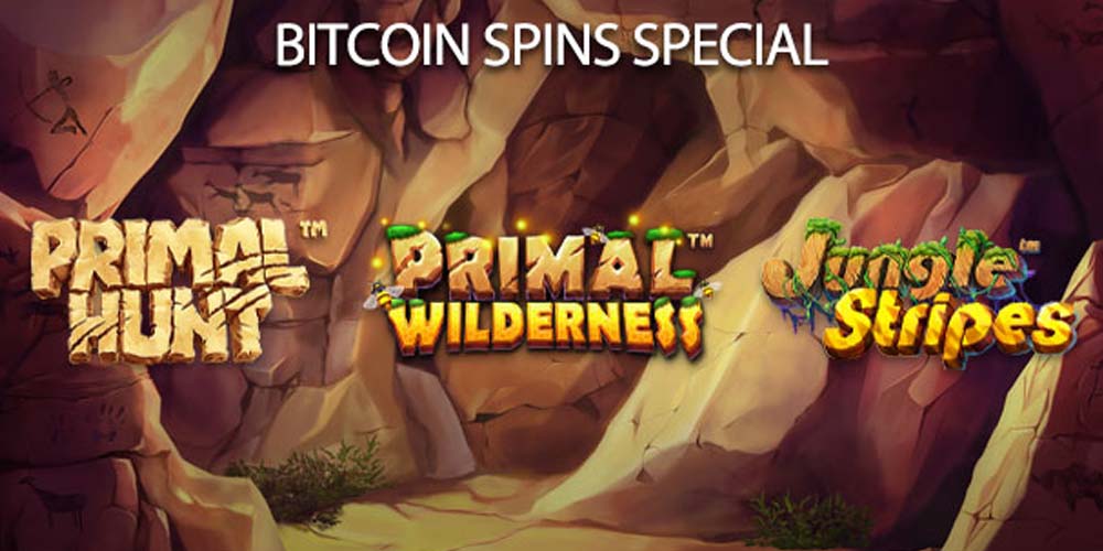 Big Bitcoin Special at Everygame Poker: Get 50 Spins Extra