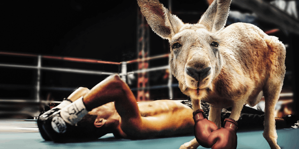 bet on the UFC online!