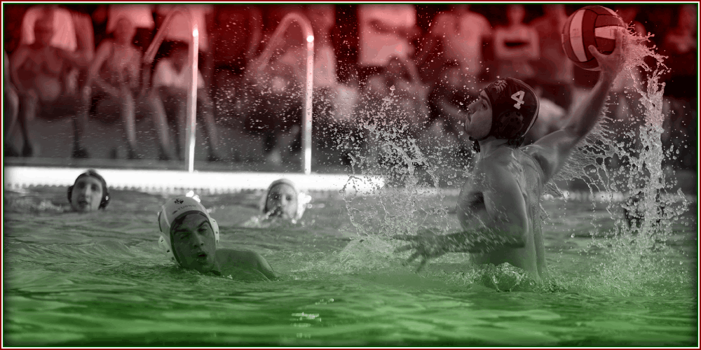 How to bet on Water Polo online?