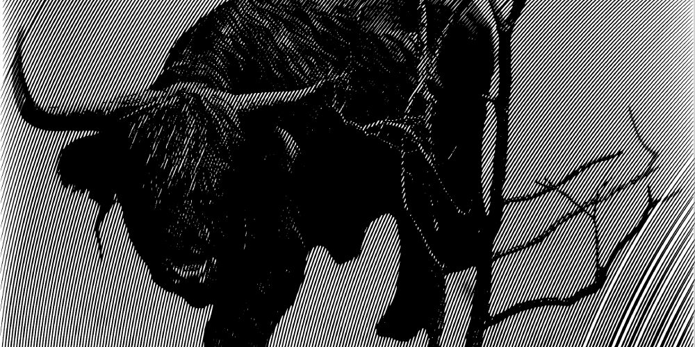 Taurus horoscope 2024 gambling online