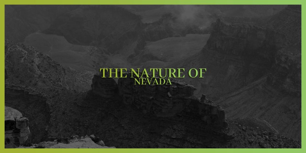 the nature of Nevada