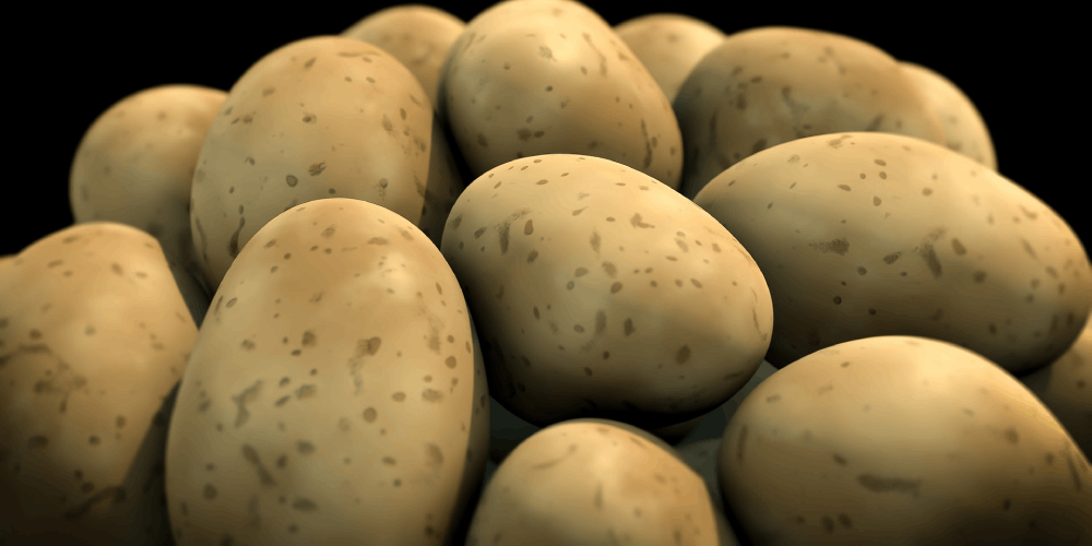 Tierra Whack album review