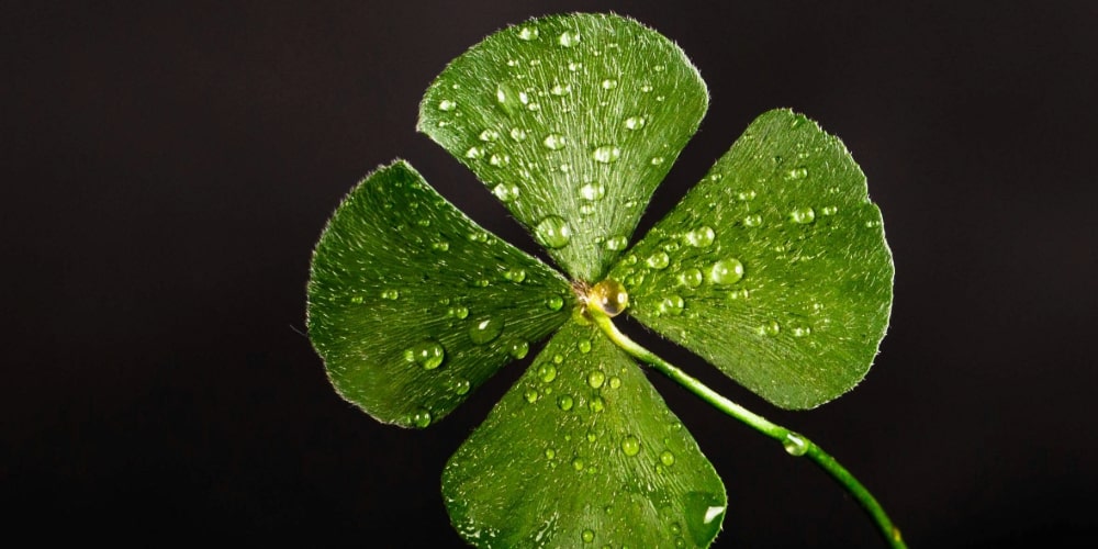 superstitions at online casinos