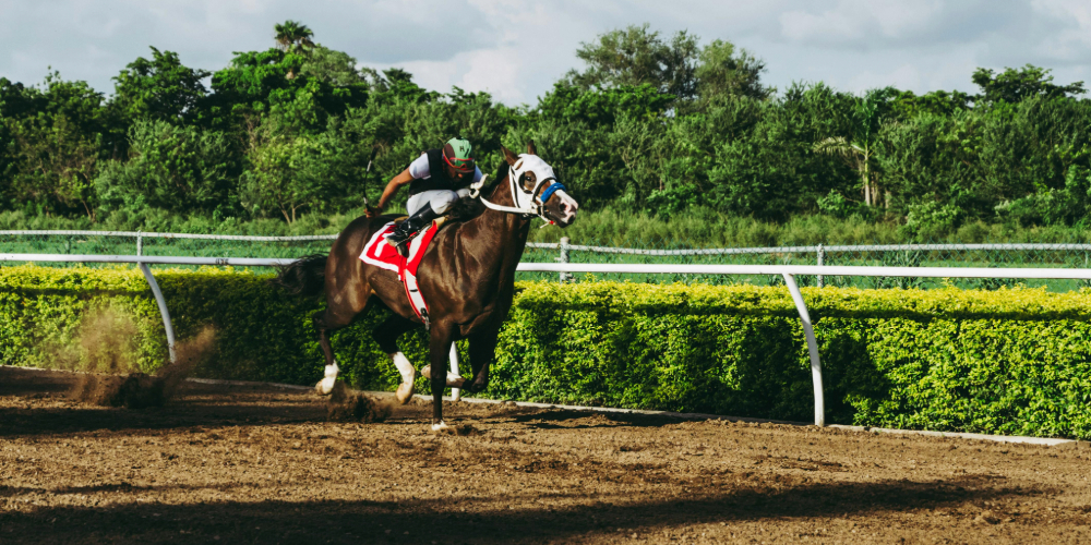 most profitable horse racing bets