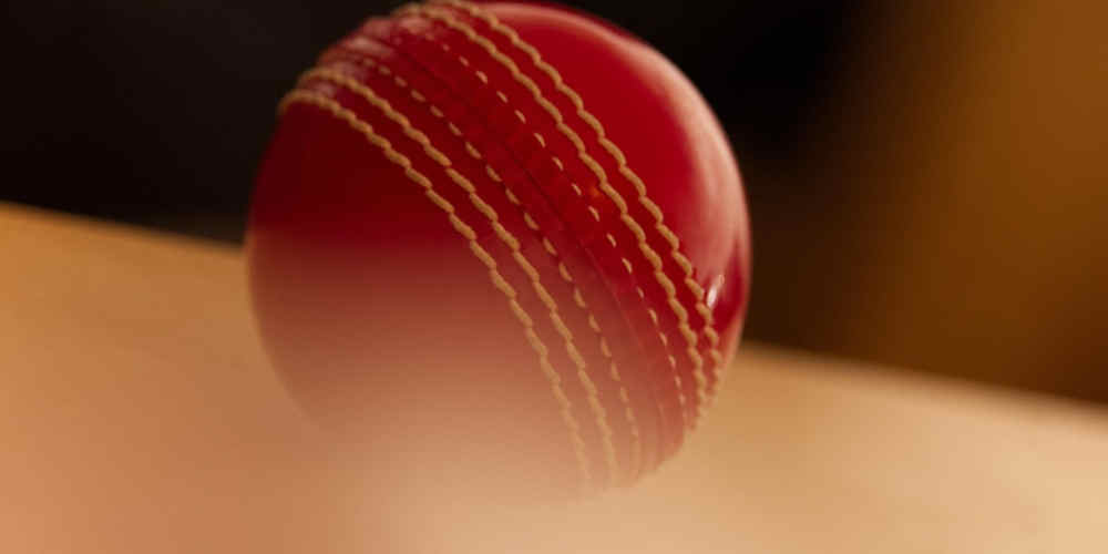 cricket ball in shadow