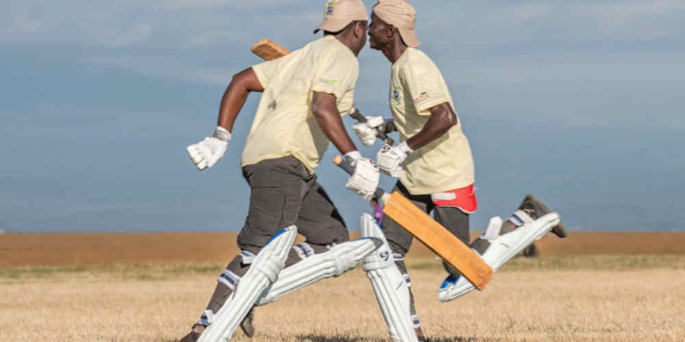 live cricket match mood image representing Bitcoin cricket betting sites