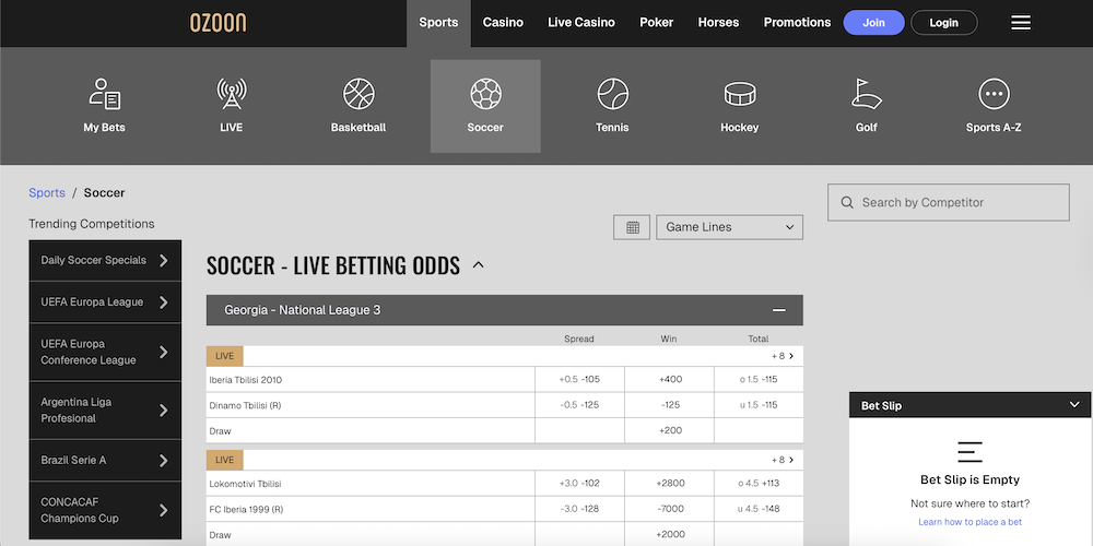 Review about Ozoon Sportsbook Markets