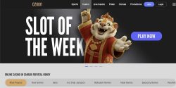 review about Ozoon Casino main page