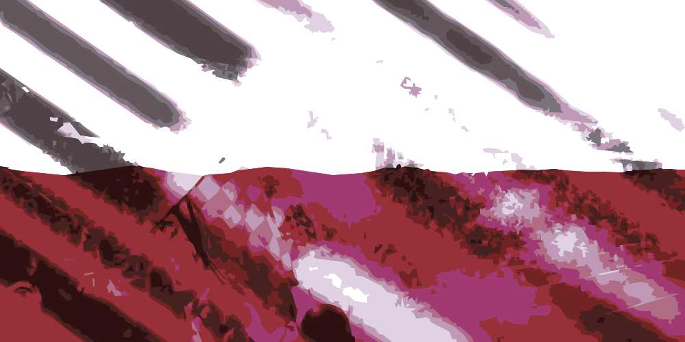 Polish soccer flag fans - best odds on poland cup online 2026 april 8 9