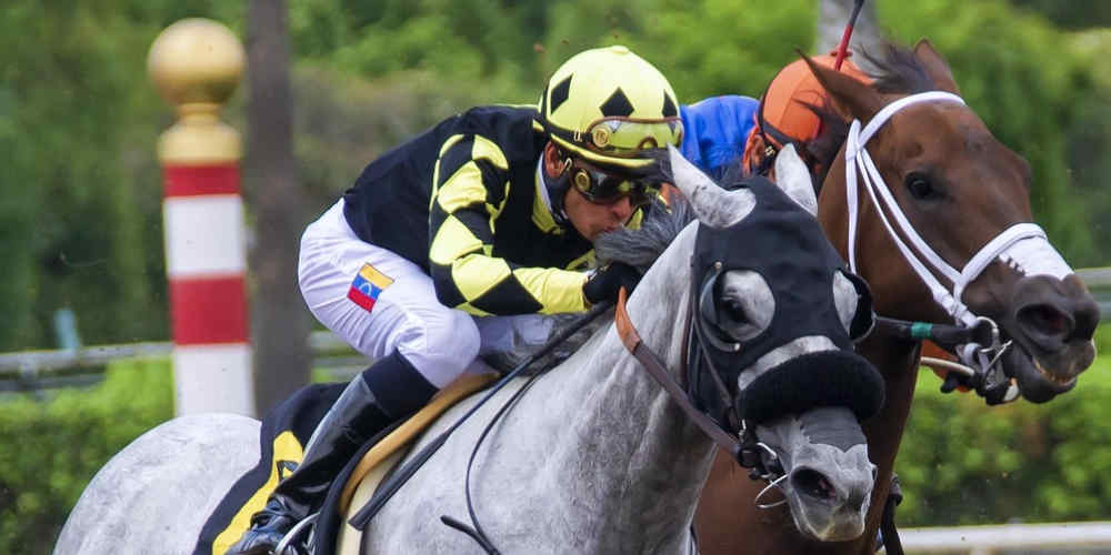 horse racing moment represents that online British bookmakers are better in horse sports betting