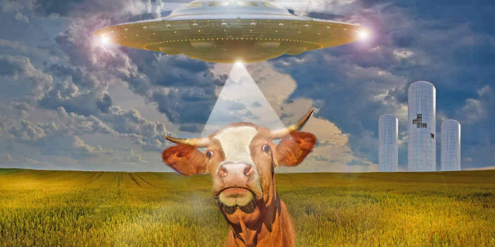 funny image represents the pointlessness of betting on UFOs
