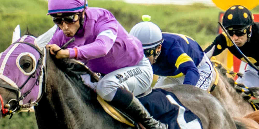 jockeys fighting wind conditions and horse racing difficulties