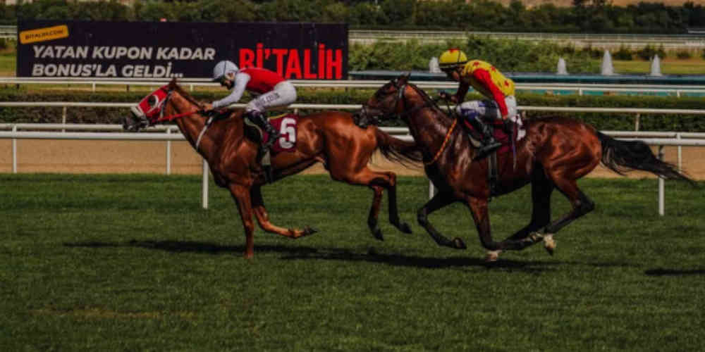 horse racing track