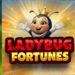 Charm the Vault with the Exclusive Ladybug Fortunes Slot Bonus at Everygame Casino Classic
