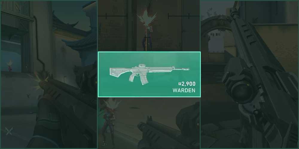 Warden Rifle in Valorant