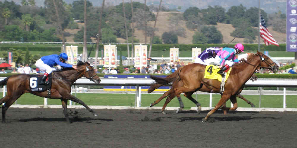 Breeders Cup 2009