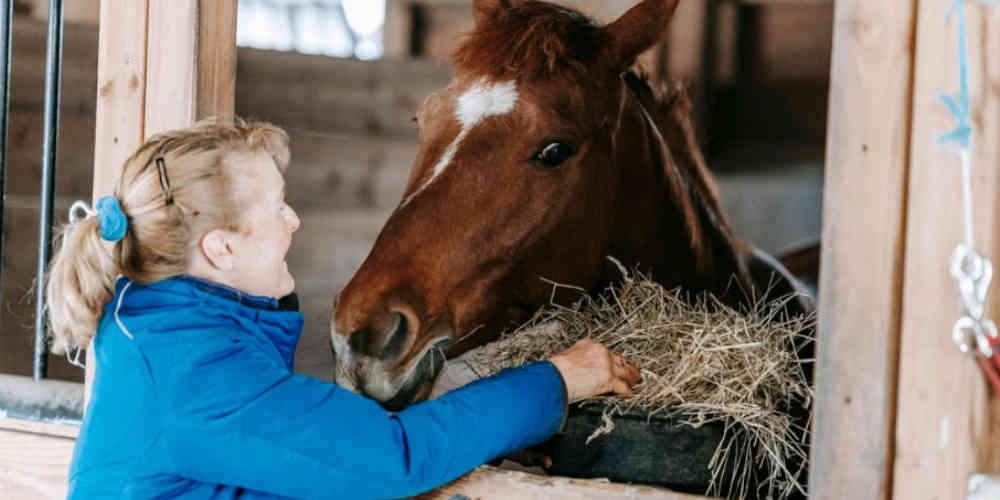 betting on the 2026 Breeders Cup based on stables shown by women checkin on the horses