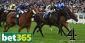 Bet365 Promises the Best Price on Horseracing on Daily Live Races on Channel 4!