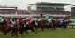 Bet On The Grand National Uniting A Broken Britain Briefly