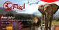 Earn a Free Safari Trip to South Africa this Month at 32Red Casino!