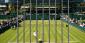 Six Tennis Players Arrested Over Match-Fixing