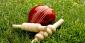 Knock Out Stages Close Up Vitality T20 Blast Betting Odds