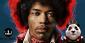 Play Jimi Hendrix slot on Royal panda with 150 free spins!