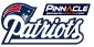 Bet on New England Patriots at Pinnacle Sports!