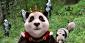 Royal Panda funny promotional stunts keep coming!