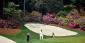 Betting Green – Golf Courses At Their Best Based On The Augusta Model